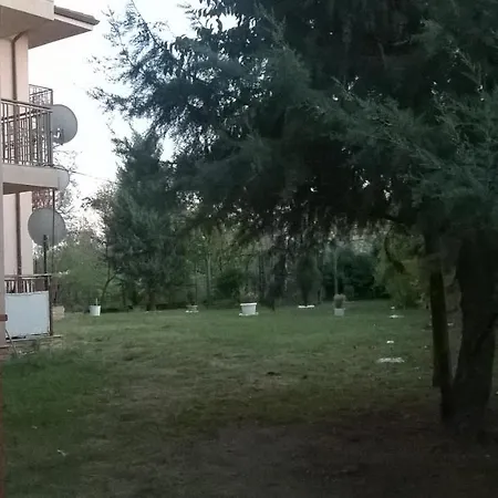 Rexana *